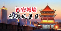 东北日逼网址中国陕西-西安城墙旅游风景区
